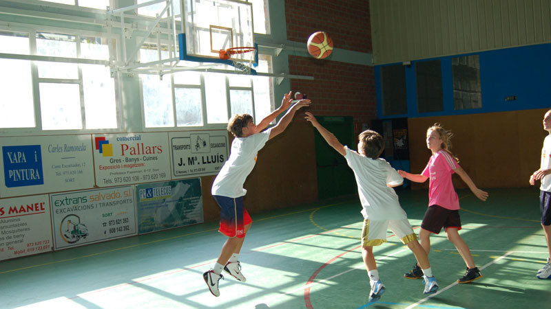 Stage de basketball dans les Pyrénées 2024 logo