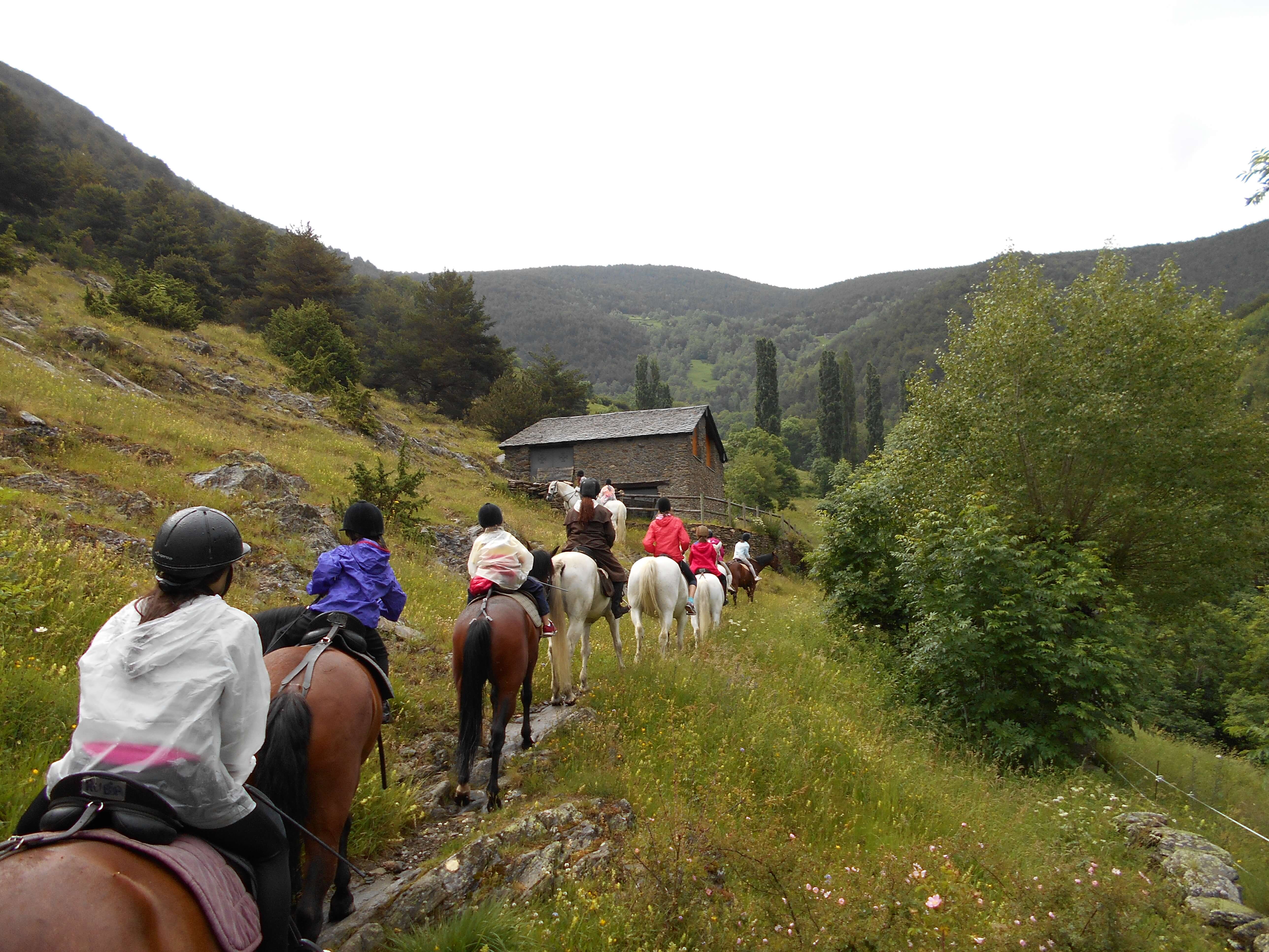 Andorra Horse Riding Camp 2023 logo