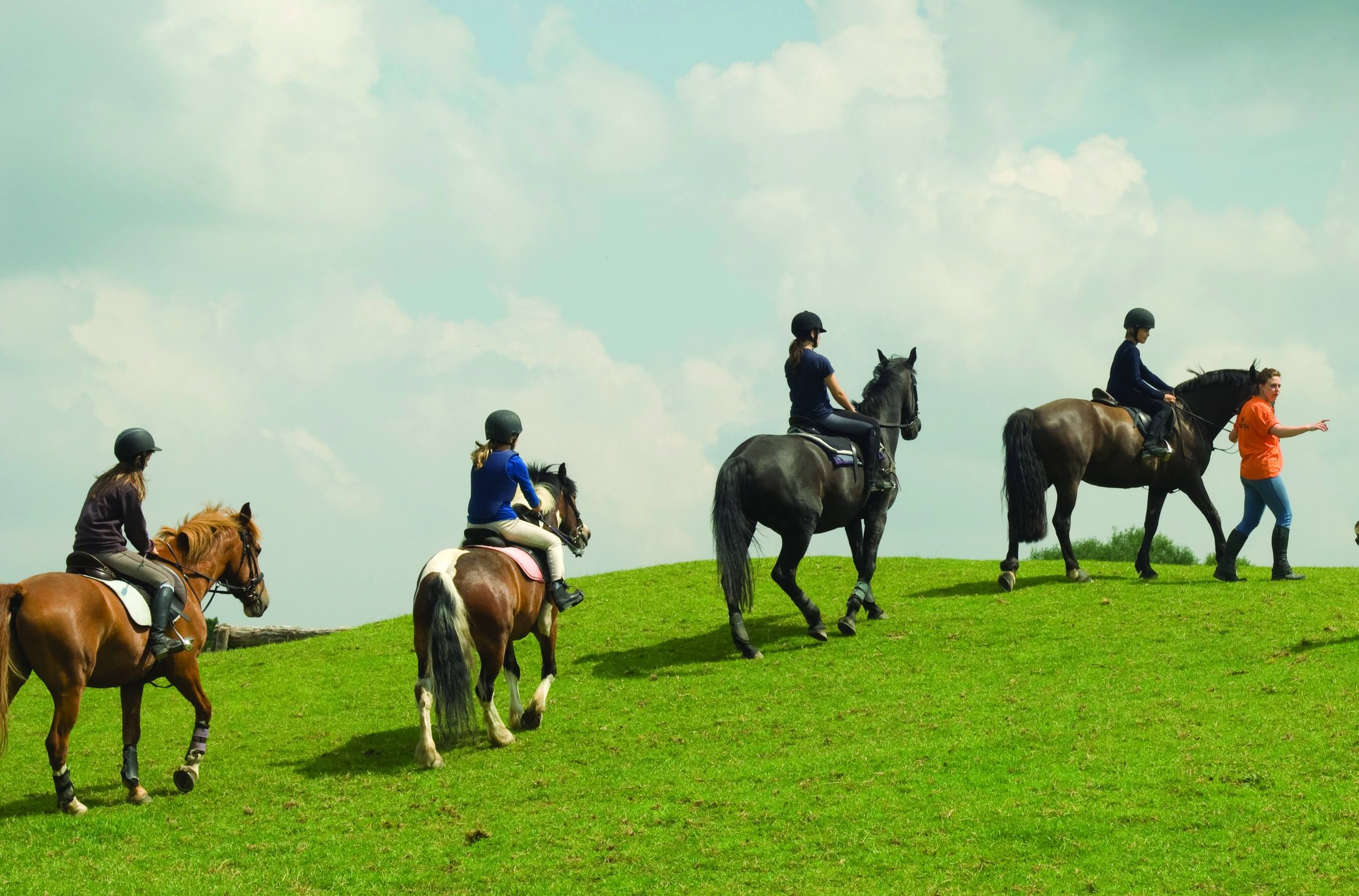 Stage d’Équitation en Angleterre 2024 logo