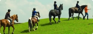Horse riding camp in England 2024 logo