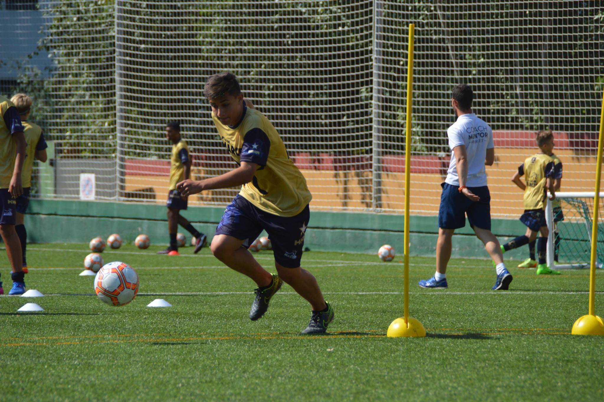 Barcelona High Performance Academy Football Tryout 2024 logo