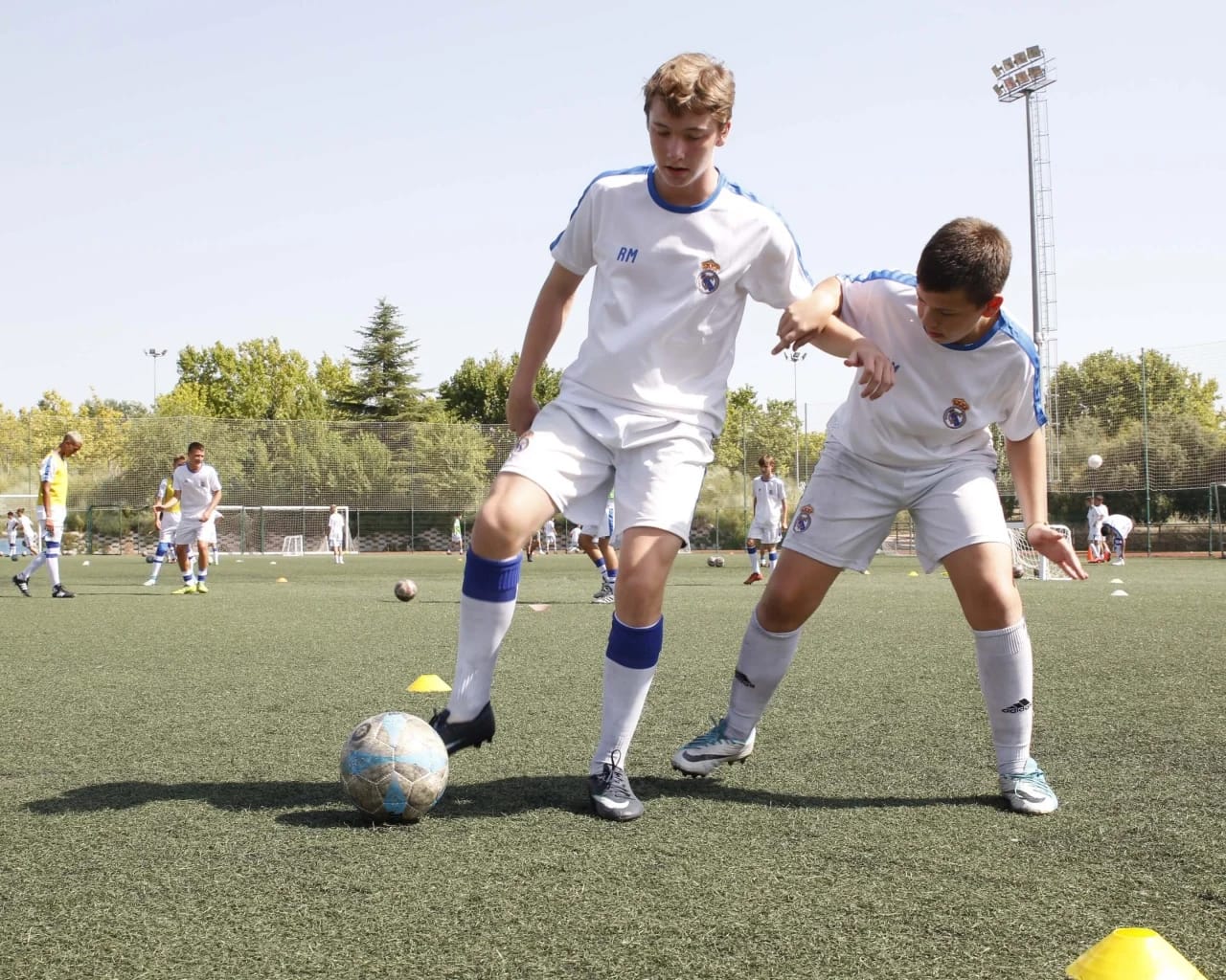 Illustrazione Di Alfabeto Di Codice Morse Internazionale Illustrazione